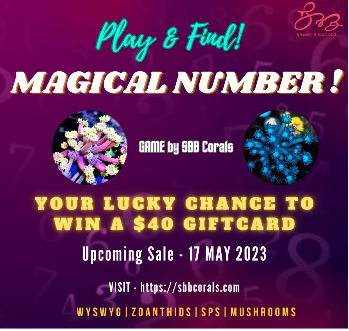 Magical number poster.jpeg