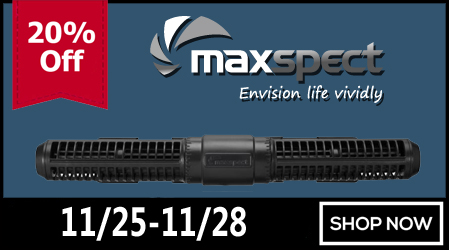 maxspect-20_.jpg