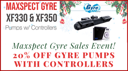 Maxspect-christmas-sale-2019.jpg