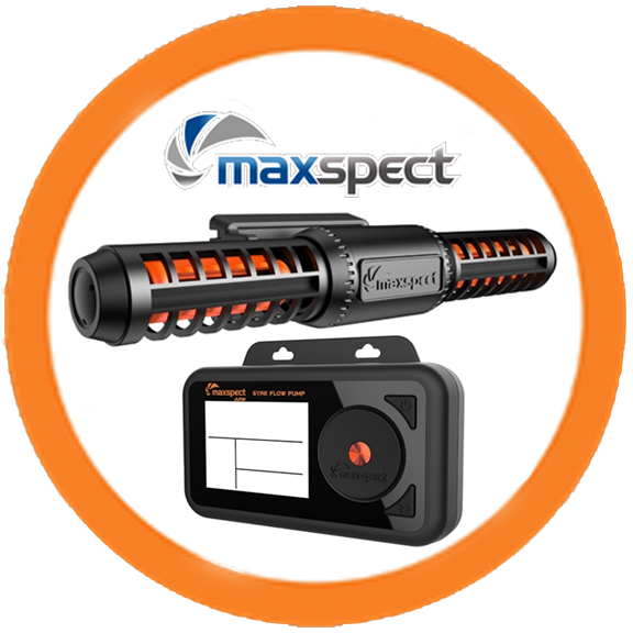 Maxspect.png