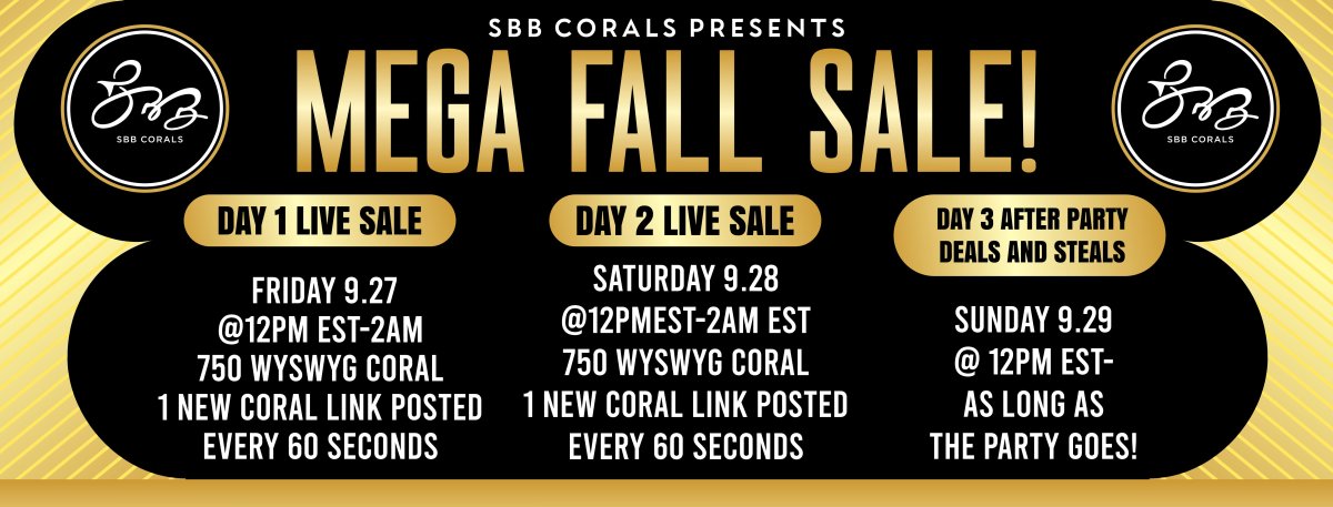 Mega Fall Sale! ok (1).jpg