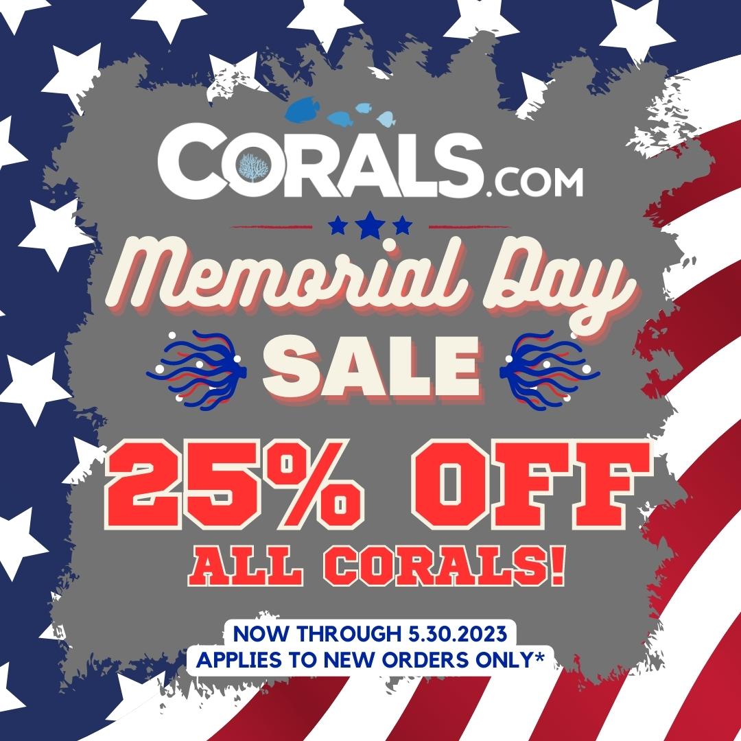 Memorial Day Sale 2023.jpg