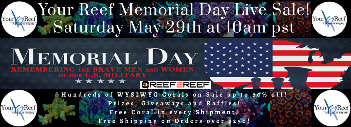 Memorial day sale large.jpg