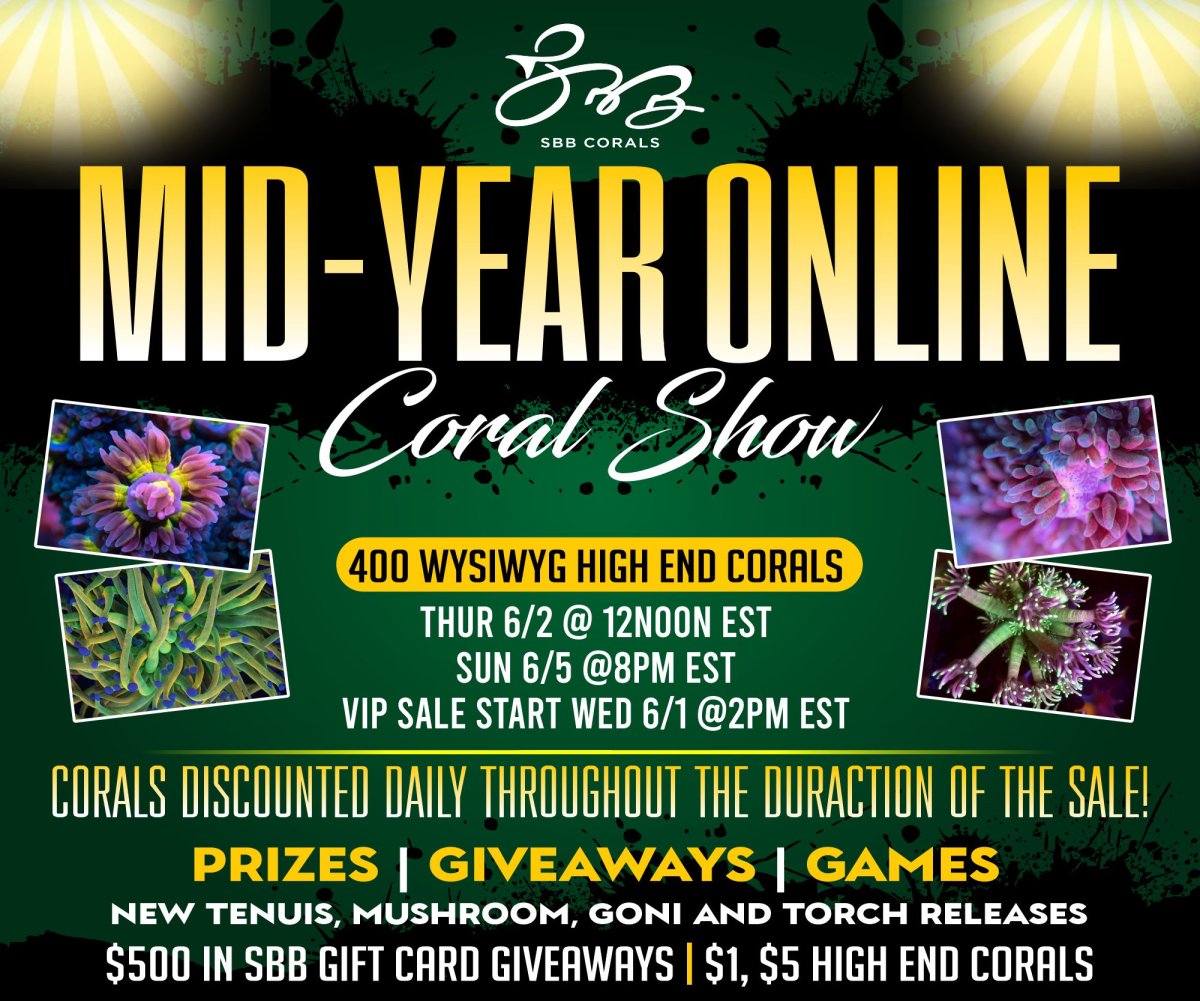 Mid-year Online Coral show.jpg 300x250 (1).jpg