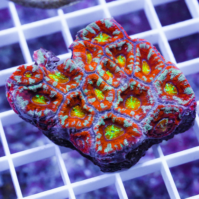 MS-boiling-point-acan-90-139.jpg