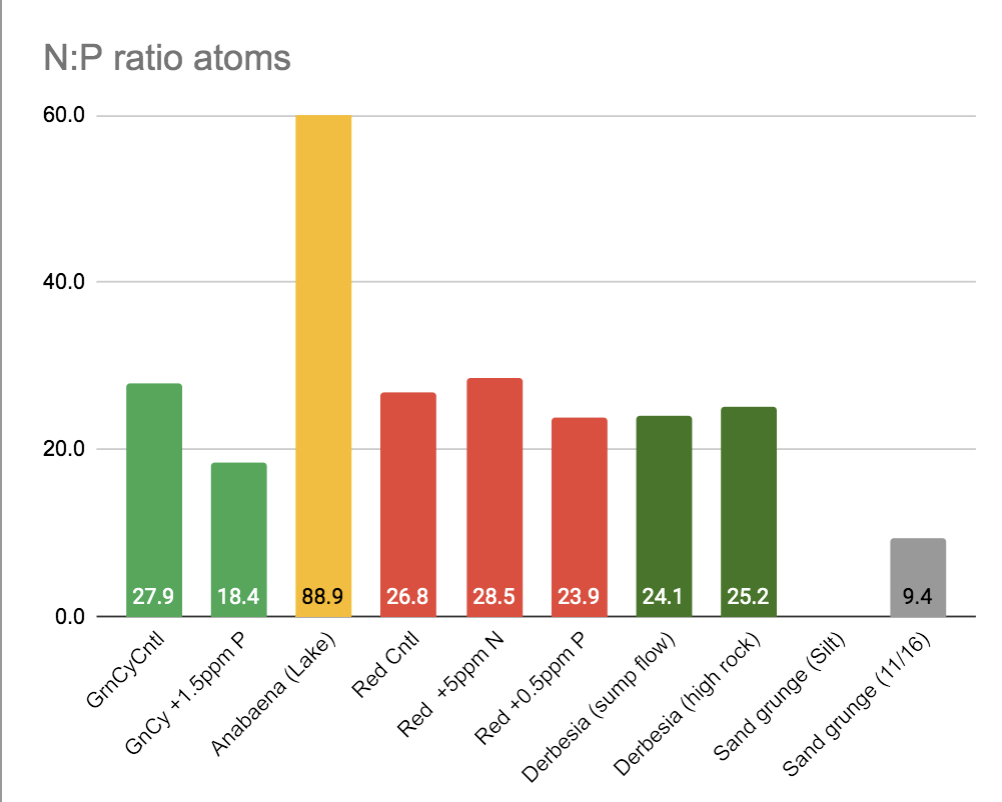 N_P ratio.png
