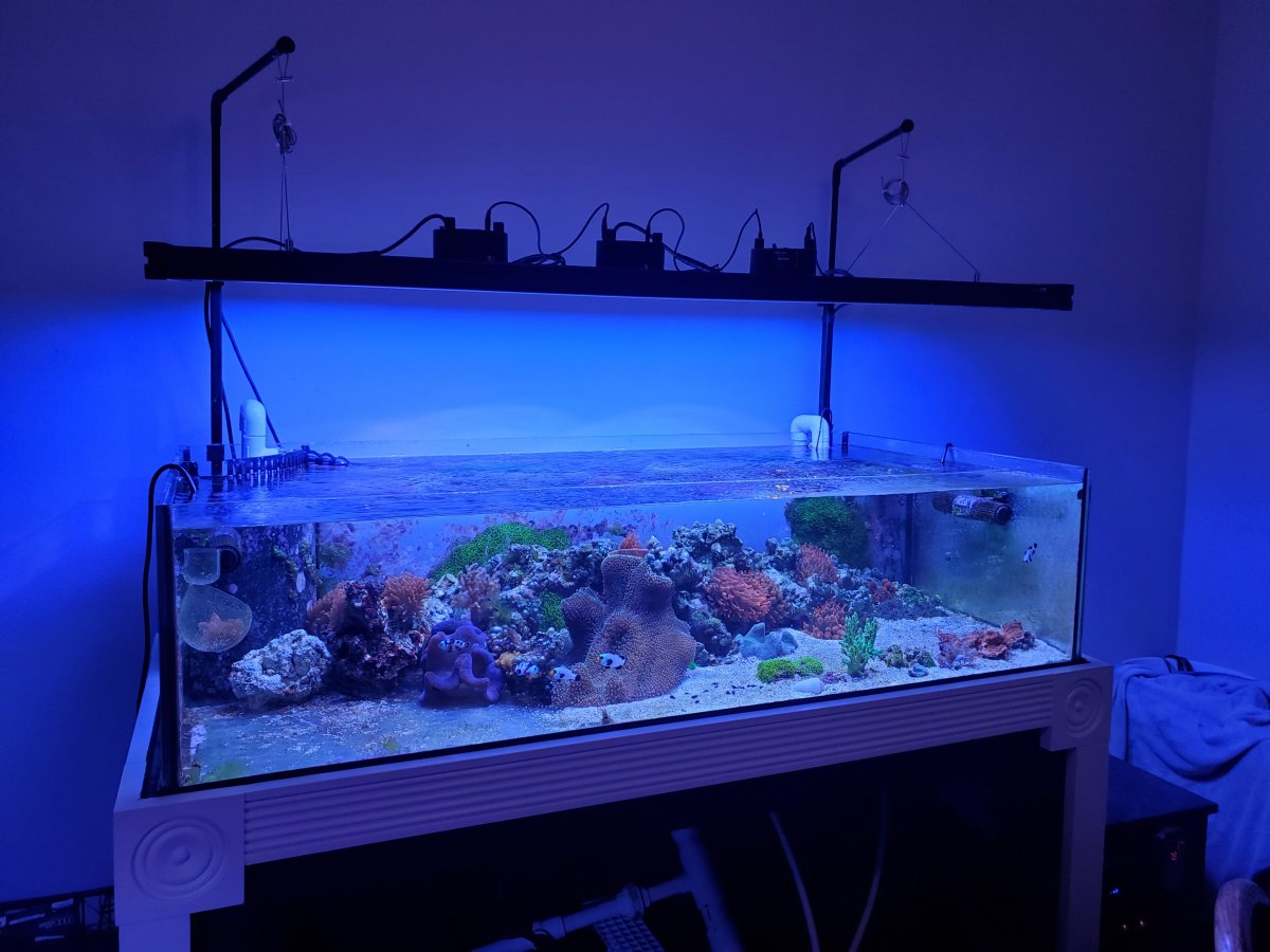 Nem tank 2-9-22.jpg