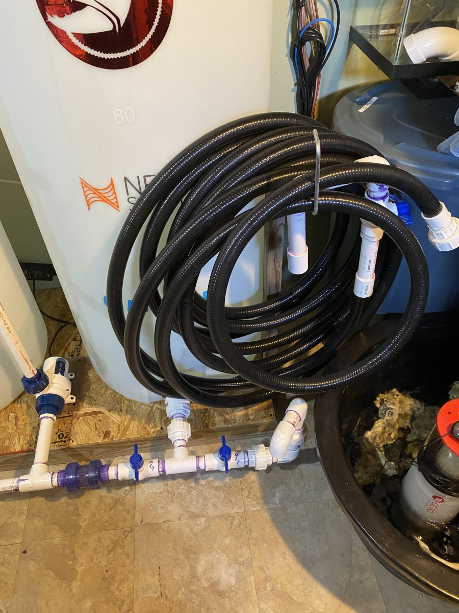 new hose.jpg