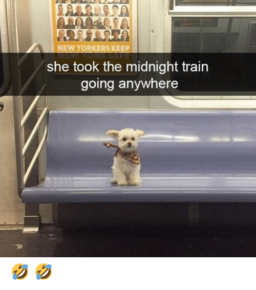 new-yorkers-keep-she-took-the-midnight-train-going-anywhere-57282314.png