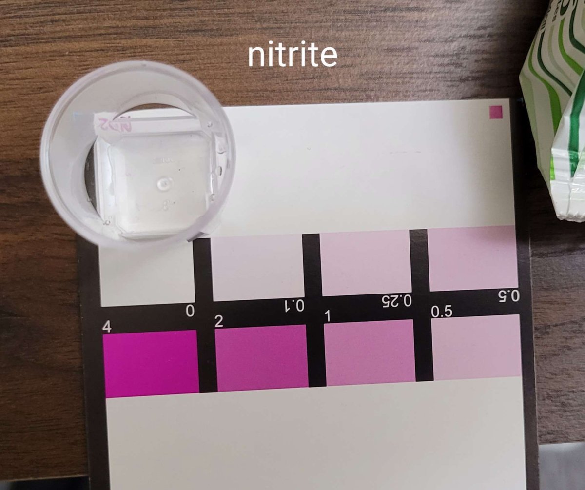 nitrite.jpg