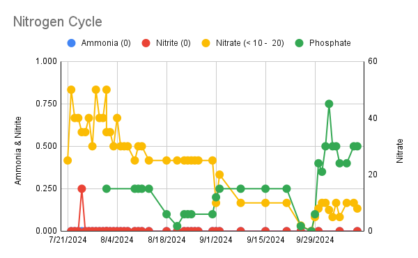 Nitrogen Cycle (10).png