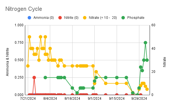 Nitrogen Cycle (9).png