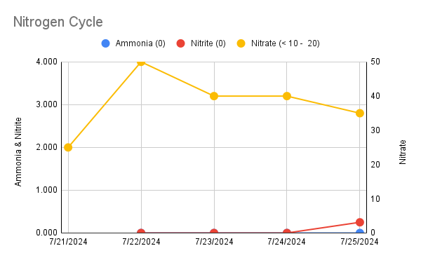 Nitrogen Cycle.png