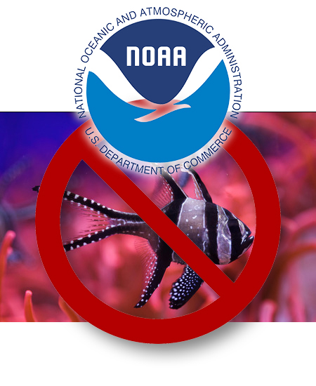 noaa-ban.jpg