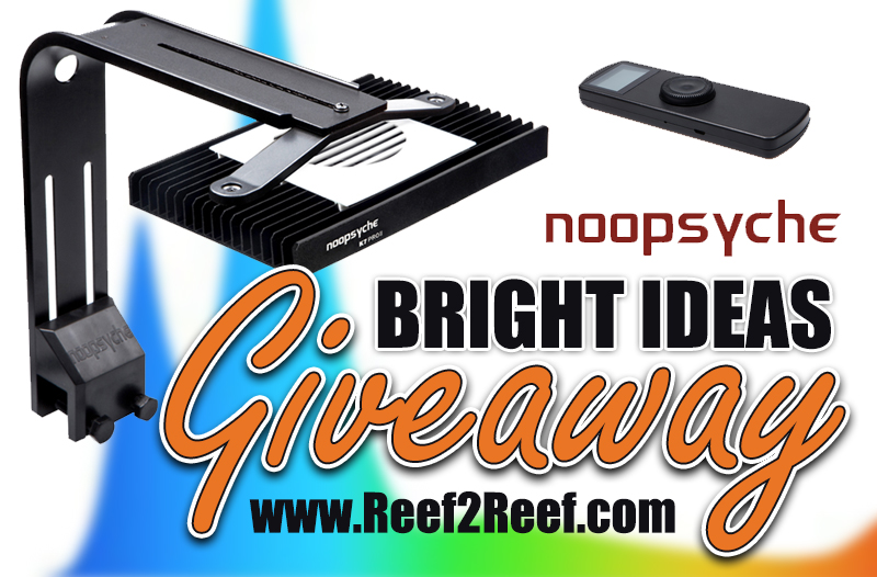 Noopsyche Giveaway BRIGHT IDEAS.jpg