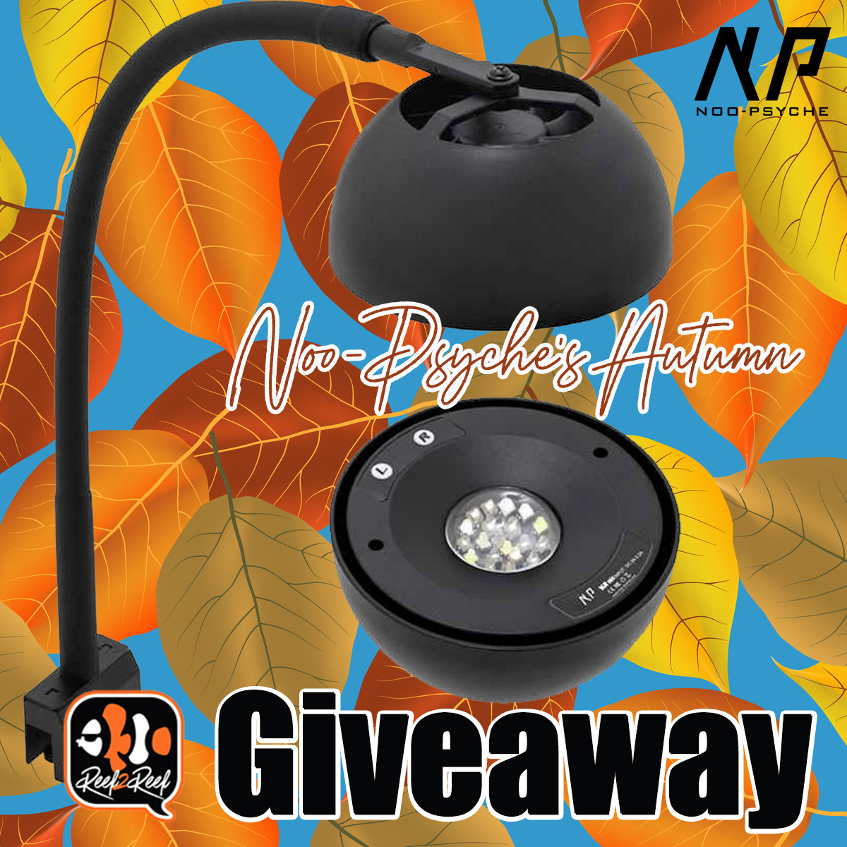 Noopsyche Giveaway fall2 copy.jpg