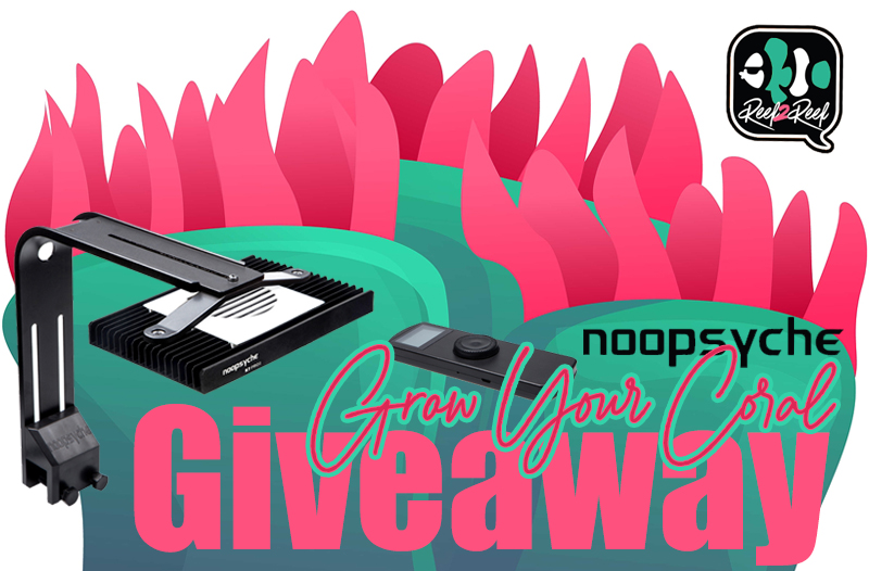 Noopsyche Giveaway GROW.jpg