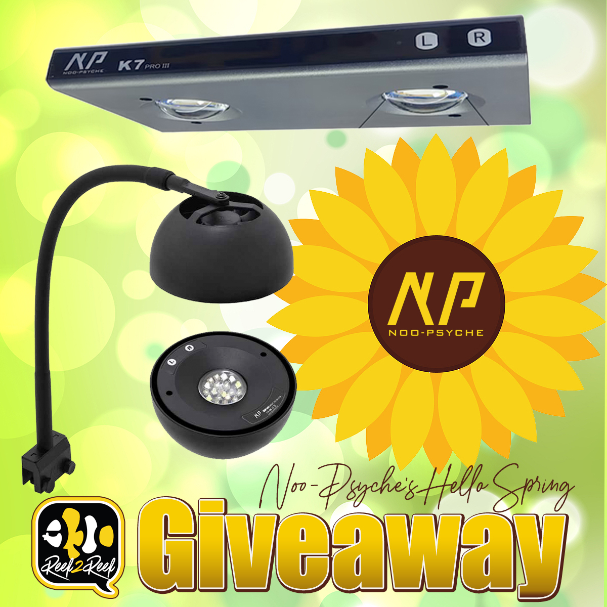 Noopsyche Giveaway SPRING23.jpg