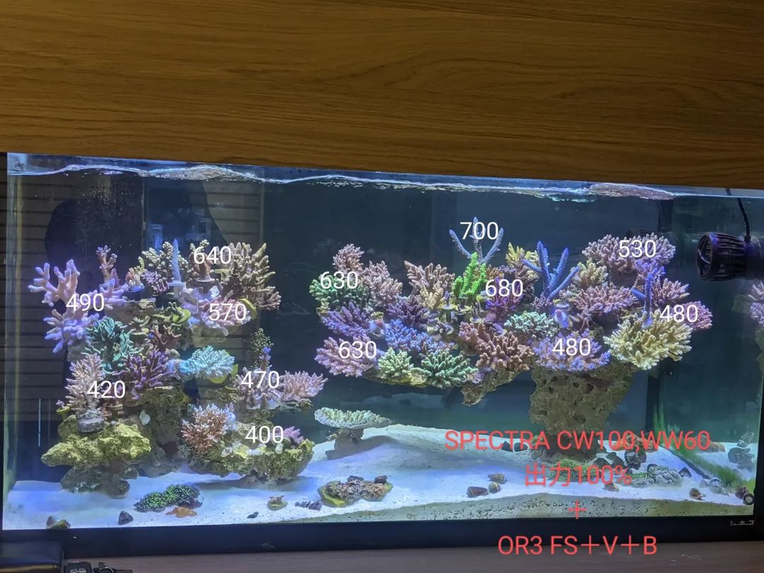 PAR map reef aquarium spectra or3 day ,UV,blue.jpeg