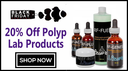 polyplab-sale-BF2016.jpg