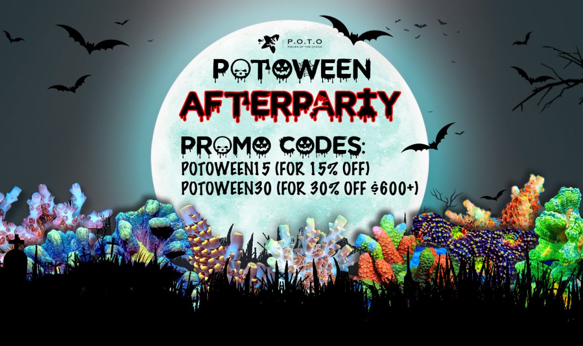potoween2022Afterparty.jpg