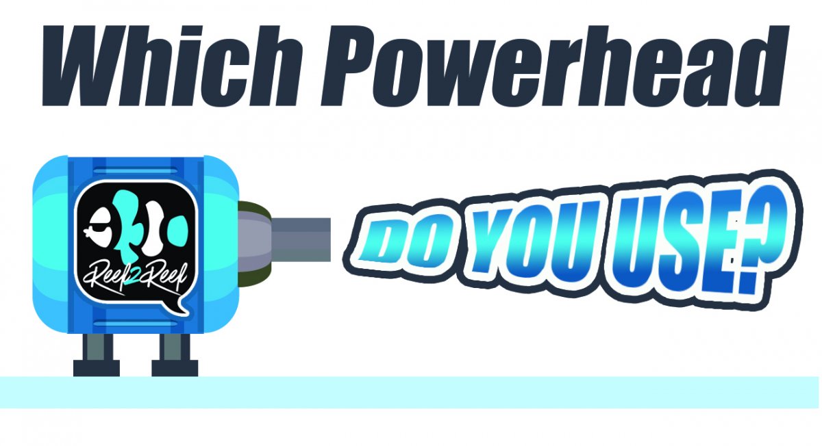 powerhead.jpg