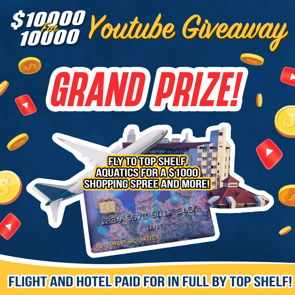 Prize-GrandPrize.png