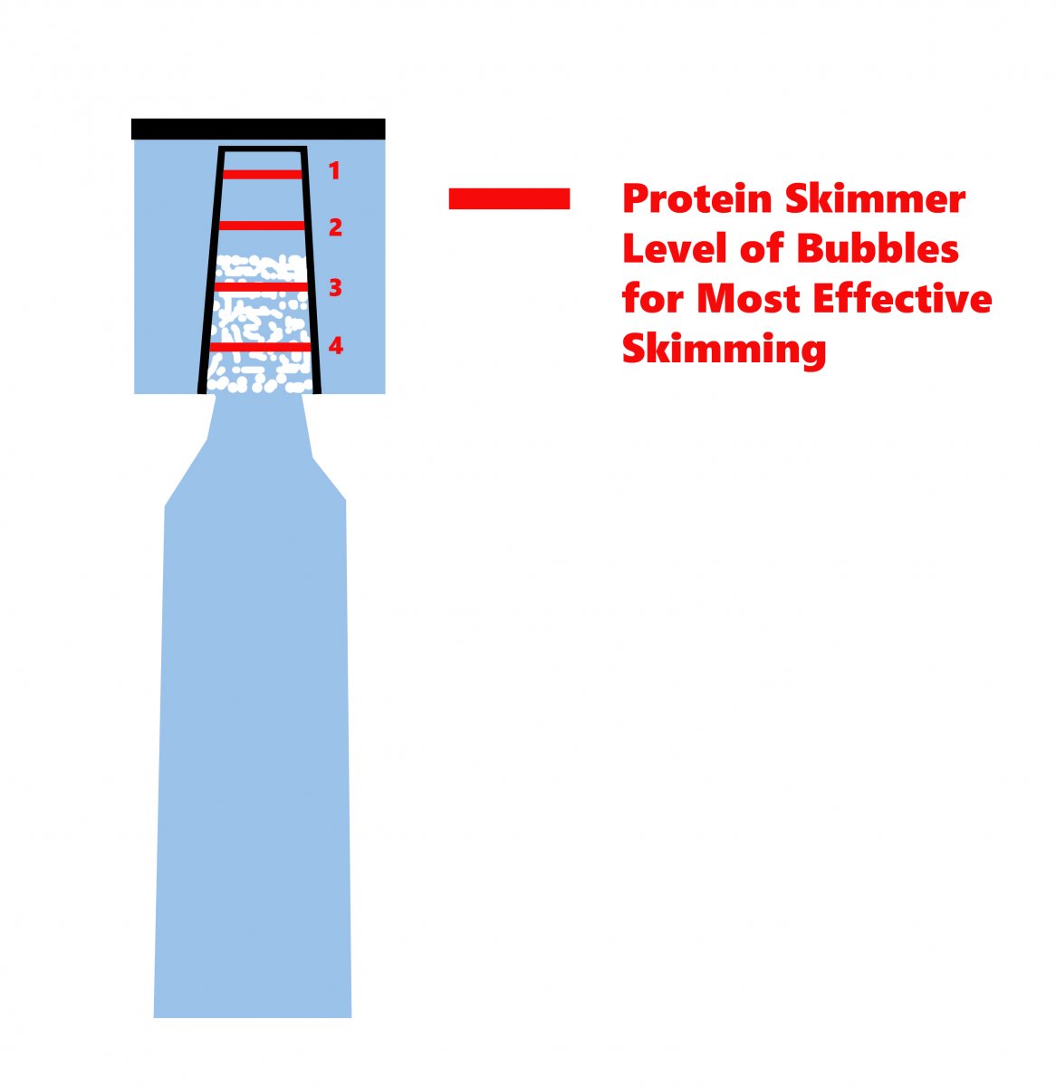 ProteinSkimming.jpg