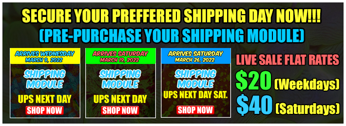 R2R-Shipping-Info-FlatRates.png