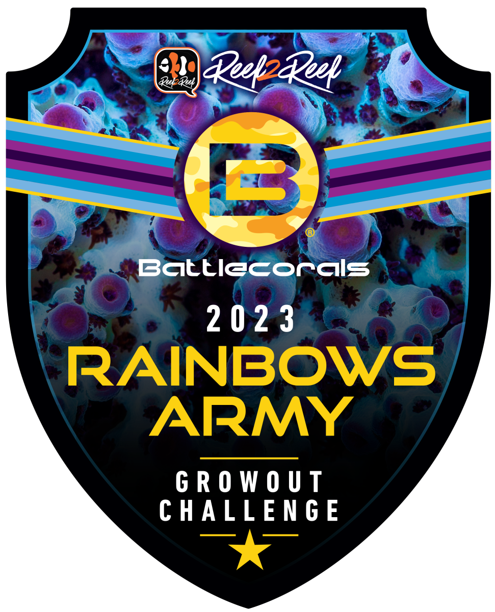 Rainbows Army Challenge-Final.png