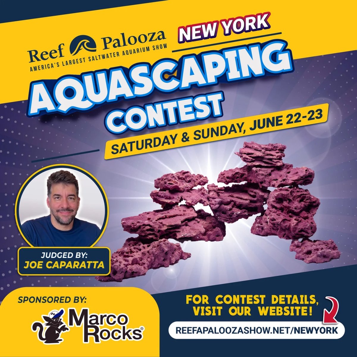 RAP-NY_Marco_Rocks_Contest_Graphic__copy.jpeg