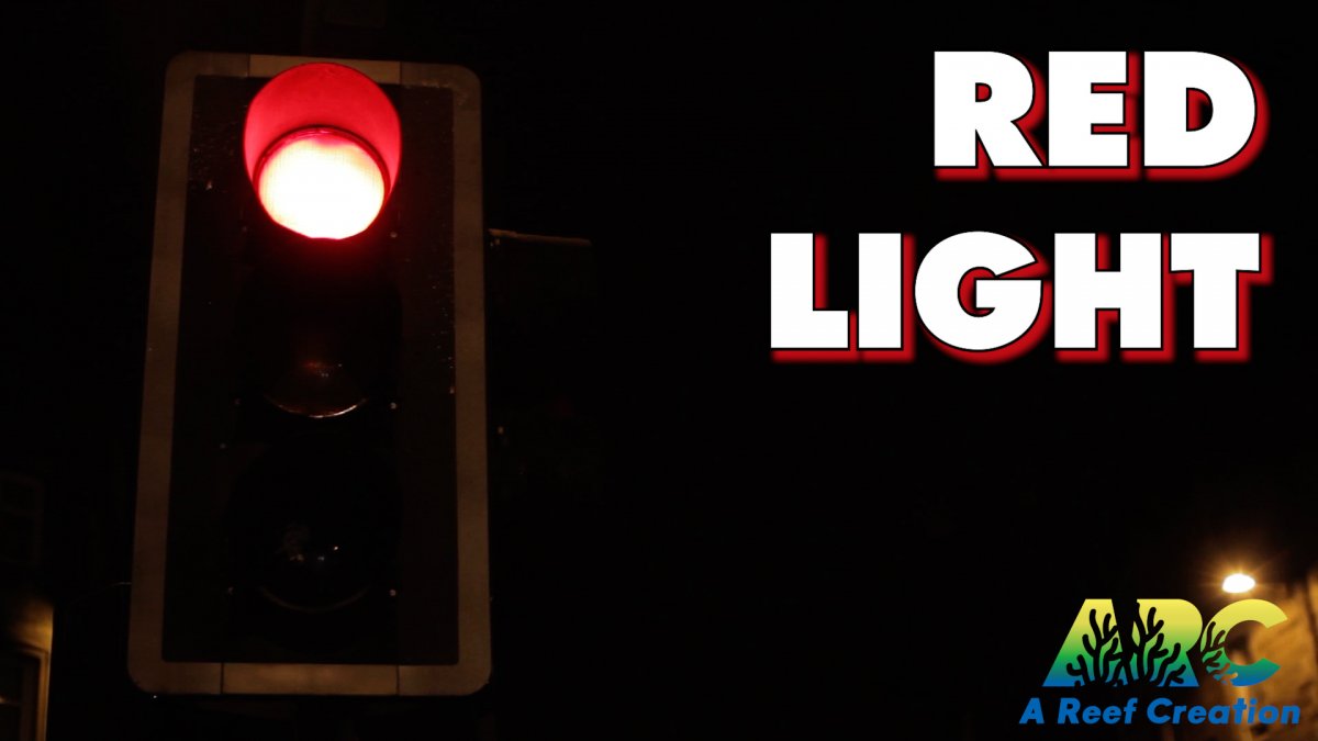 RED LIGHT.jpg