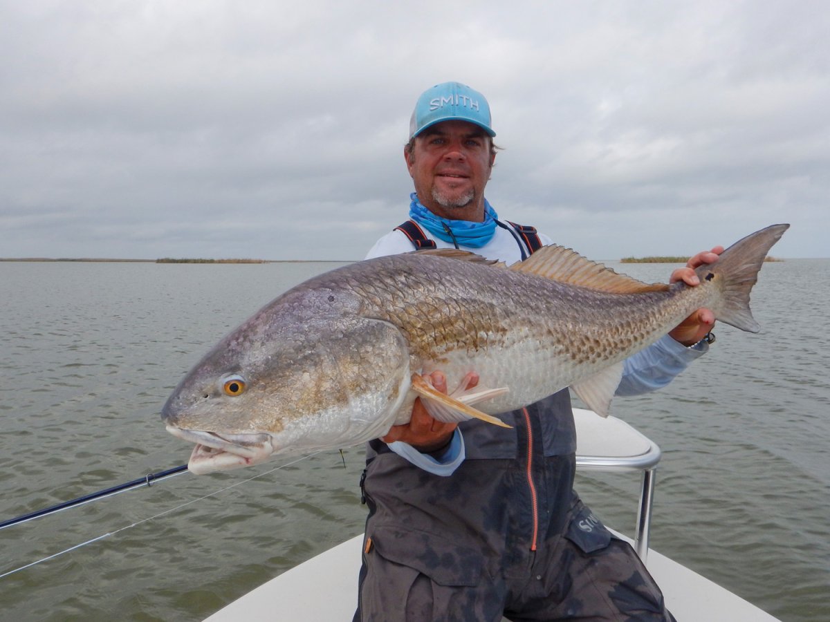 redfish.jpg