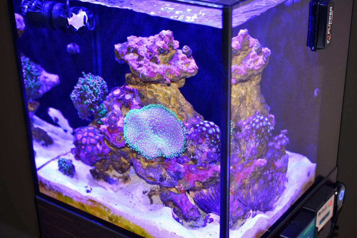 reef-07-14-2023.jpg