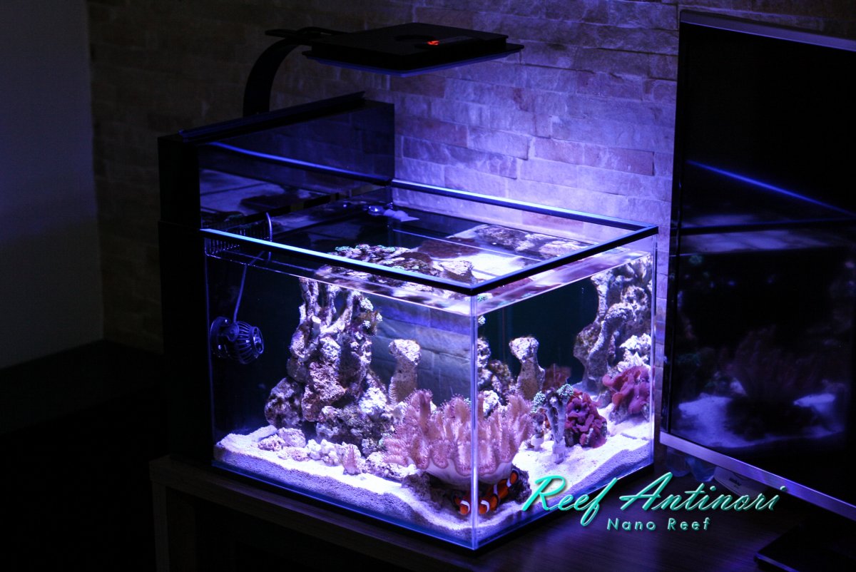 reef 11_05_23-1.jpg