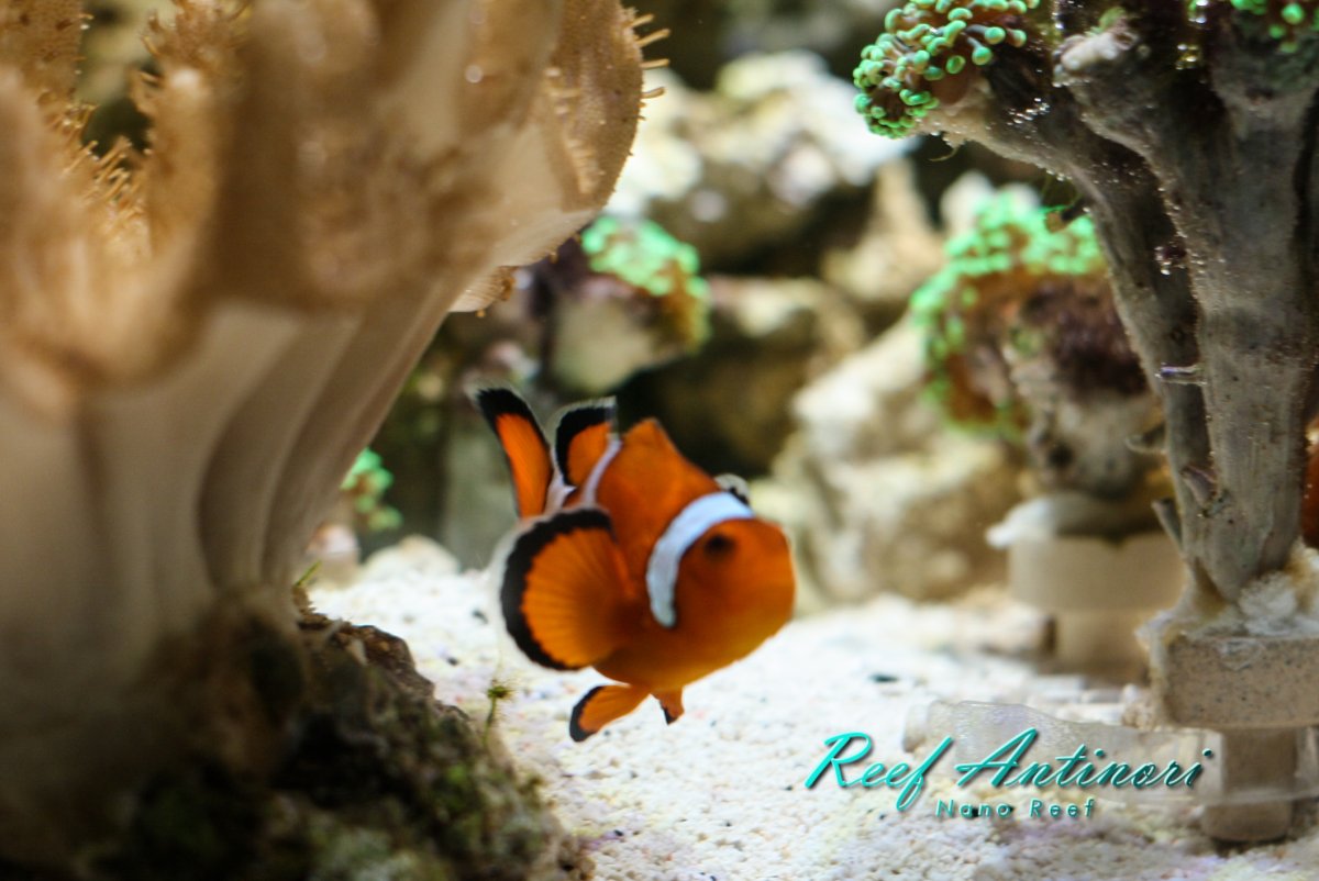 reef 11_05_23-5.jpg