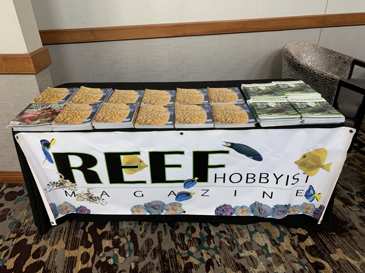 Reef Hobbyist Magazine Table - original setup.JPG