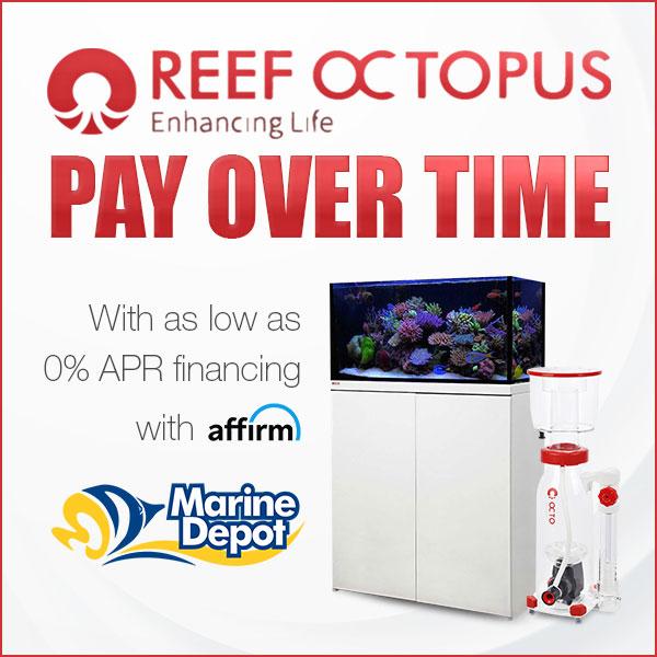 reef-octopus-0-apr-financing-social (1).jpg