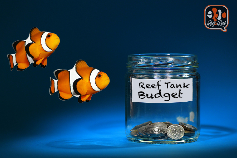 reef tank budget.jpg
