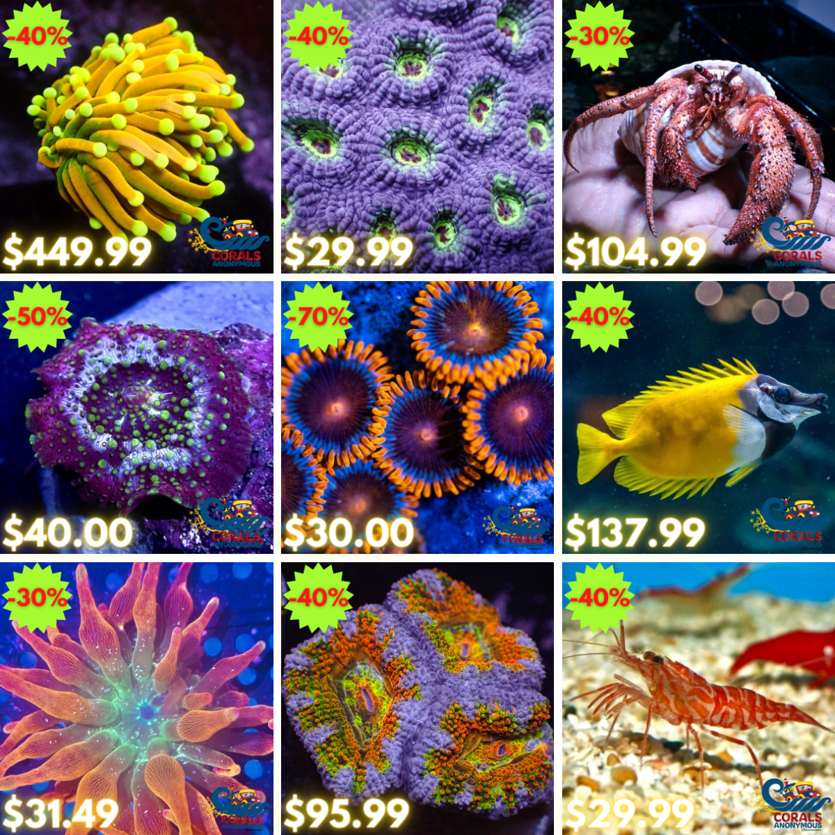 REEF2REEF COLLAGE (3).png