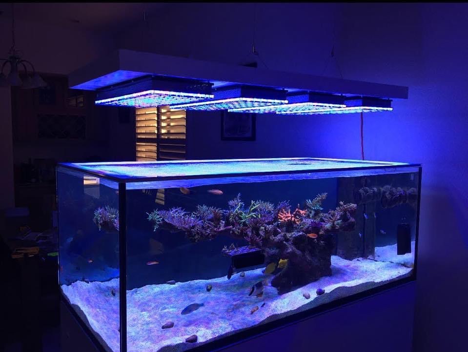 reef_aquascape_tank_light_design-533684780.jpg