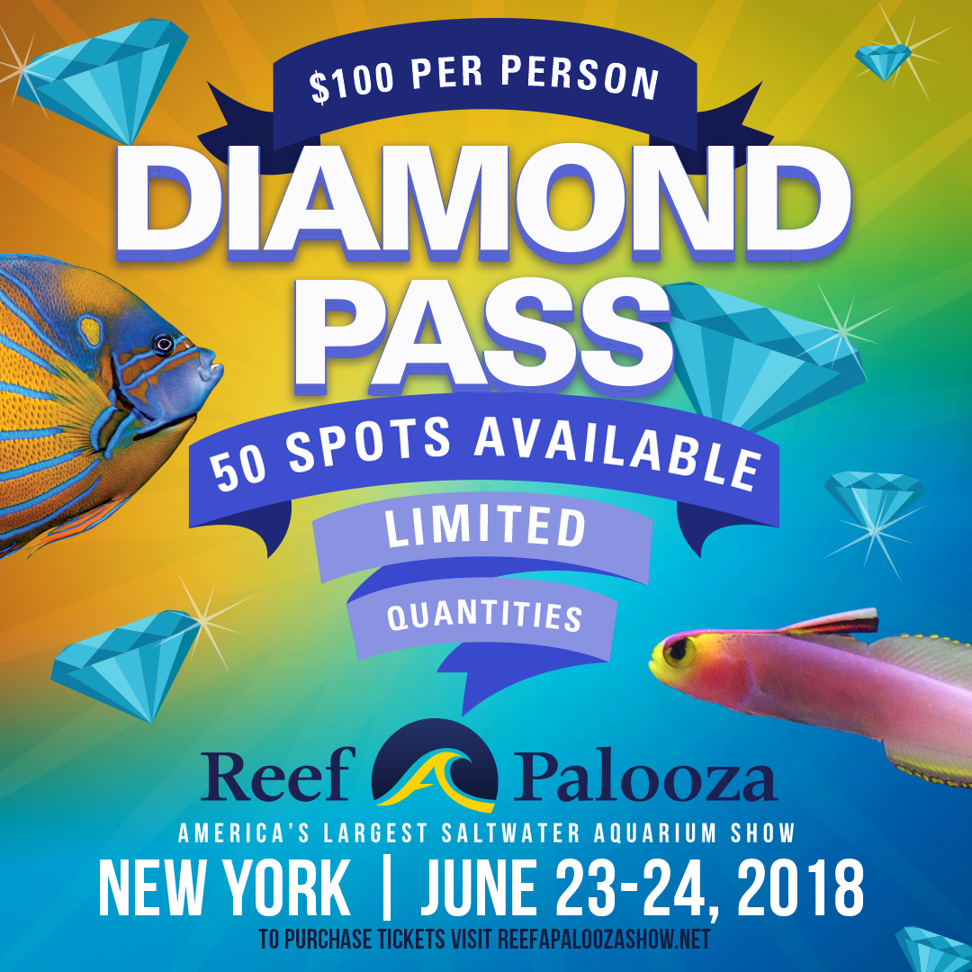Reefapalooza_Diamond Pass.png