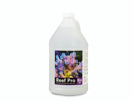 Reefprojpg_2(2).jpg