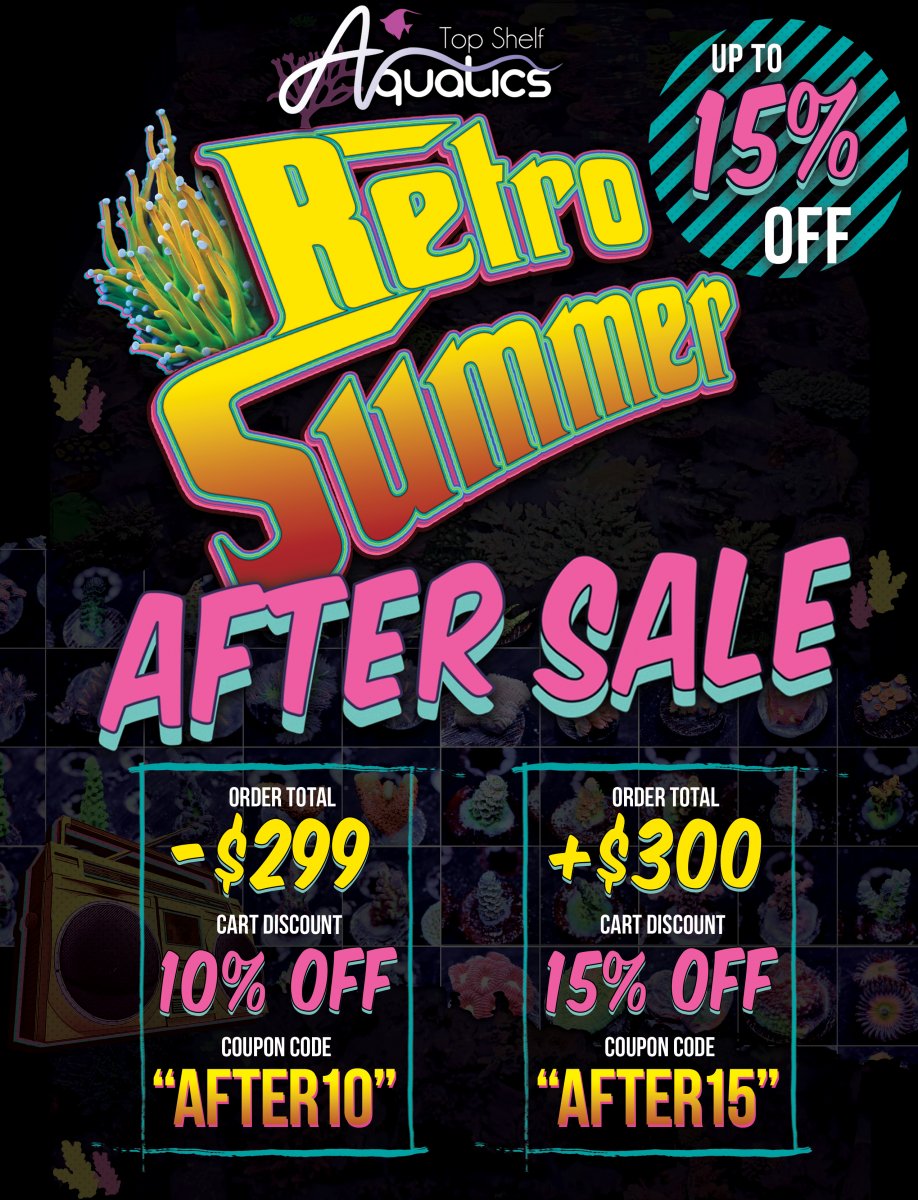 RetroSummerSale_Resized1.jpg