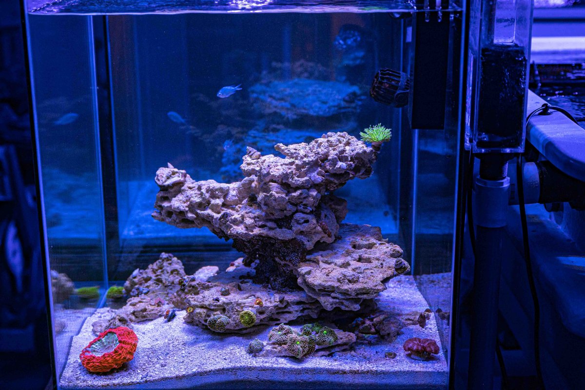 Riptideaquaculture -0133.jpg