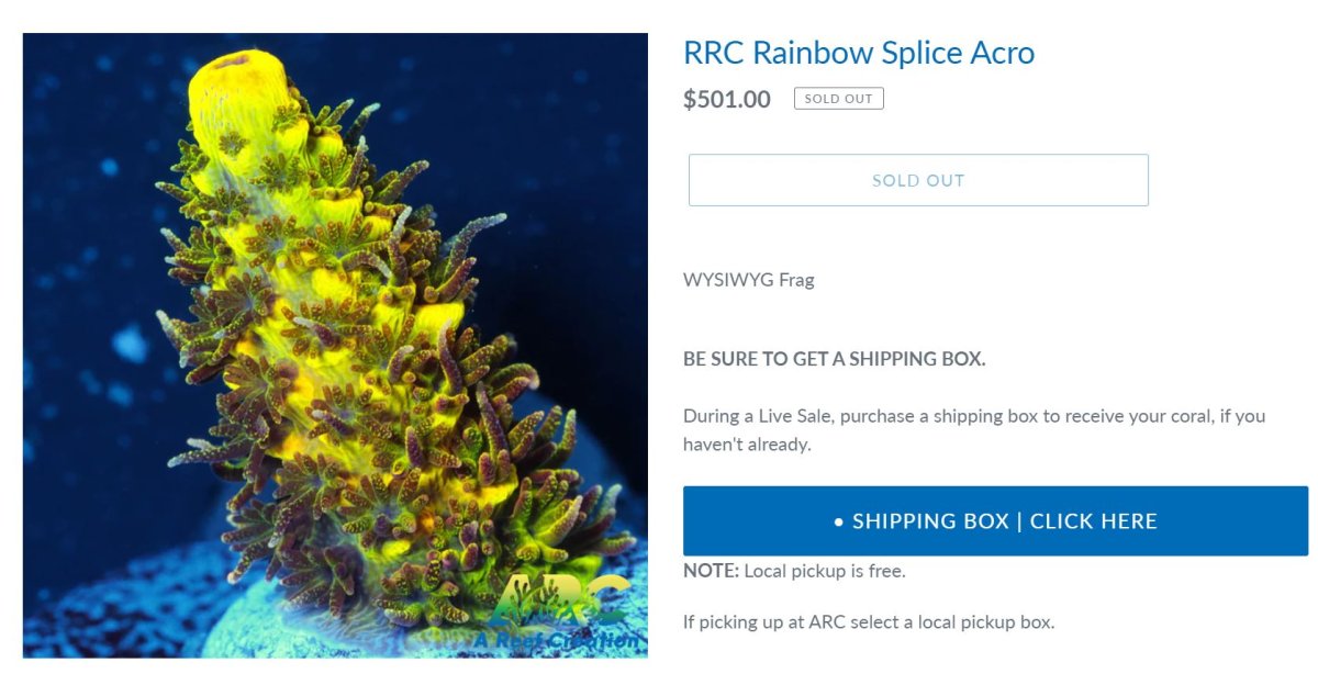 RRC Rainbow Splice.JPG