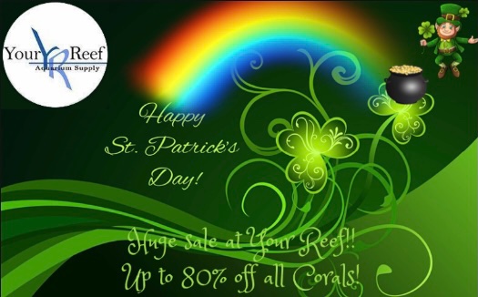 Saint Patrick's day sale.jpeg