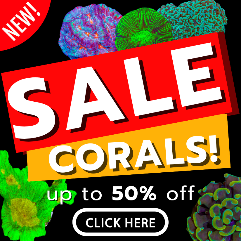 sale poster(3).png