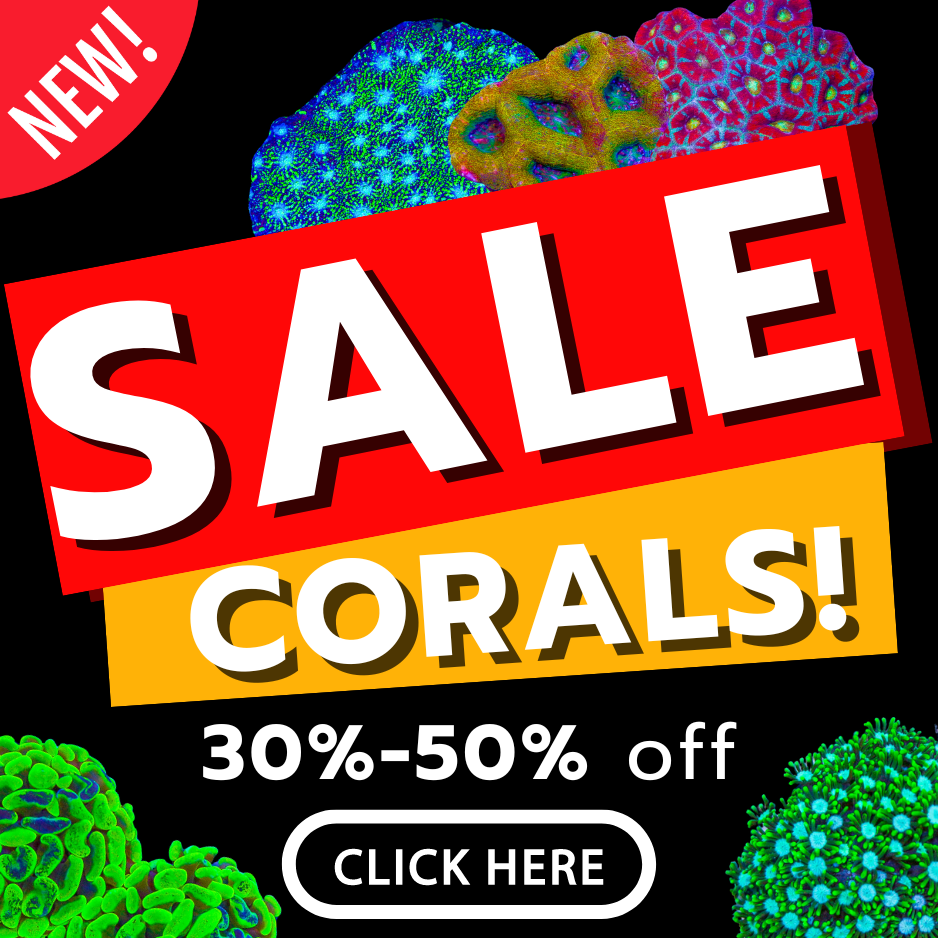 sale poster(5).png