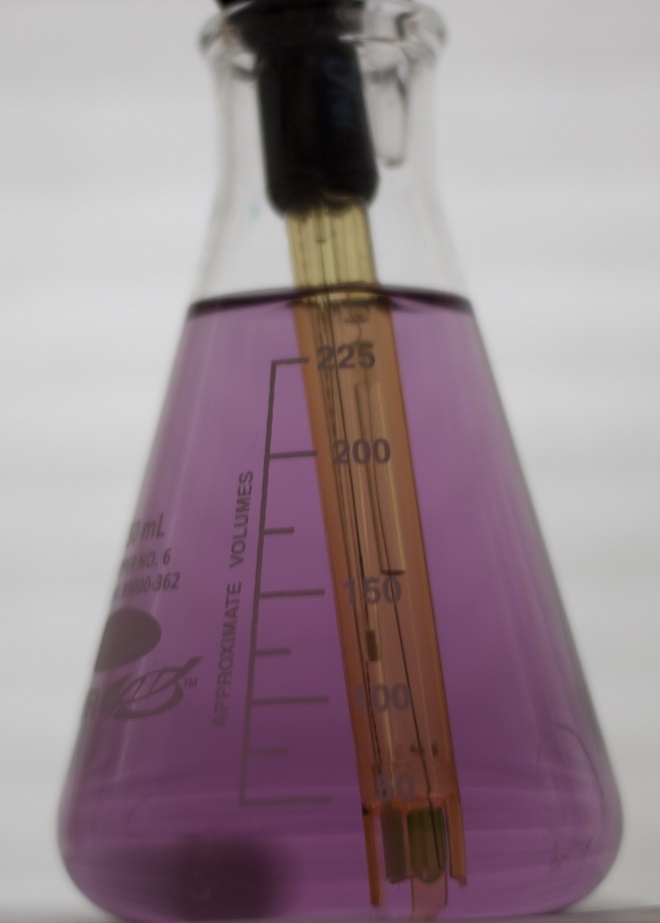 Salifert Alkalinity Dye Endpoint Color #2.jpg